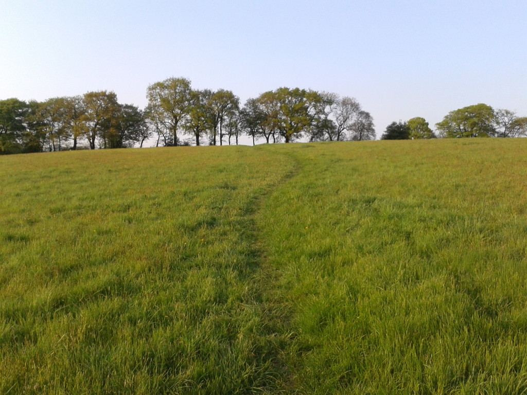 Field with path