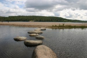 stepping stones