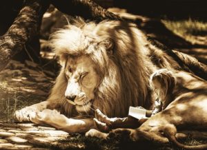 child reading with a lion