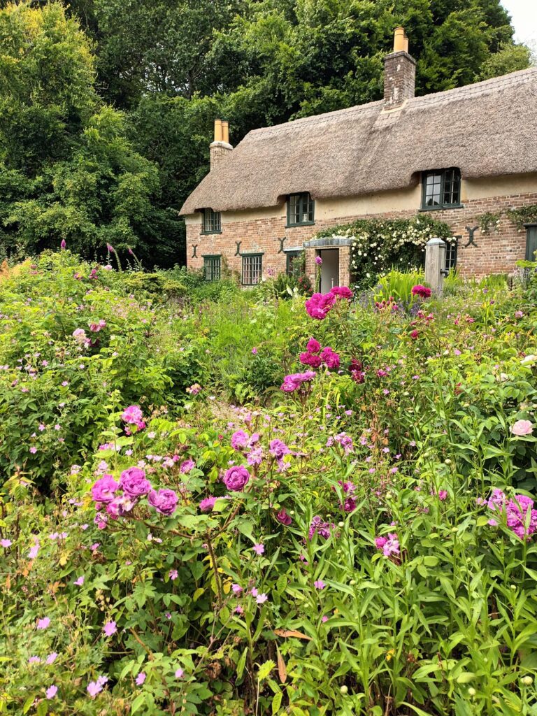 Thomas Hardy's cottage